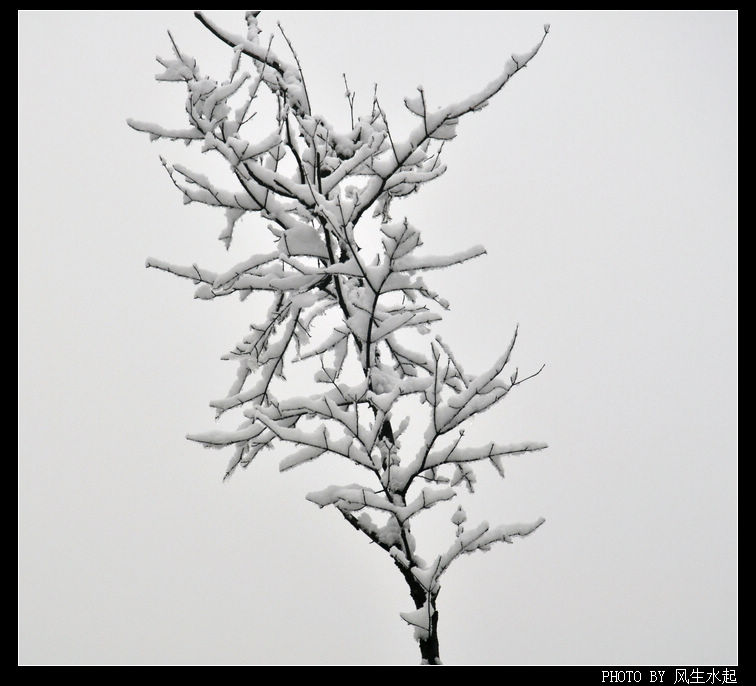 2011陕北雪