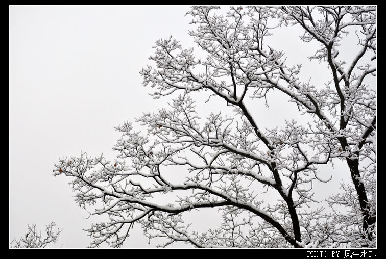 2011陕北雪