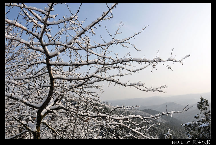 2011陕北雪