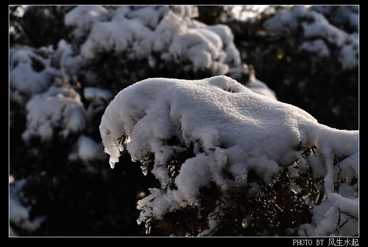 2011陕北雪