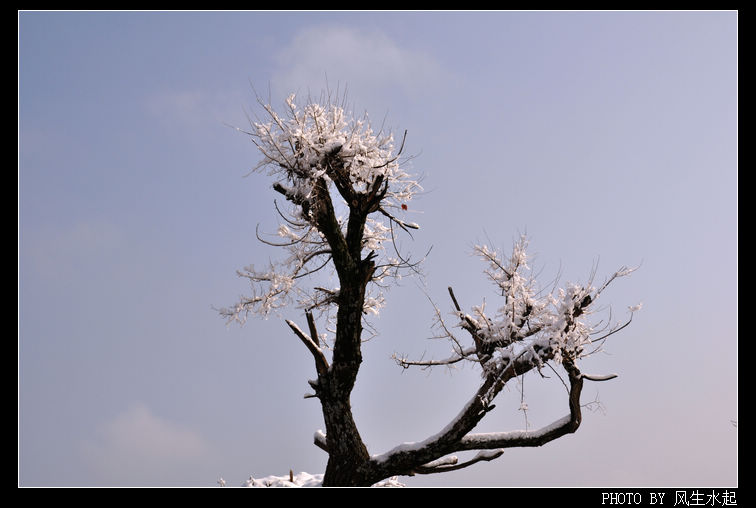 2011陕北雪