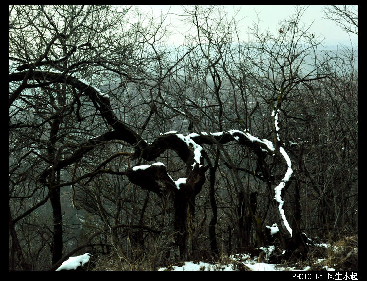 2011陕北雪