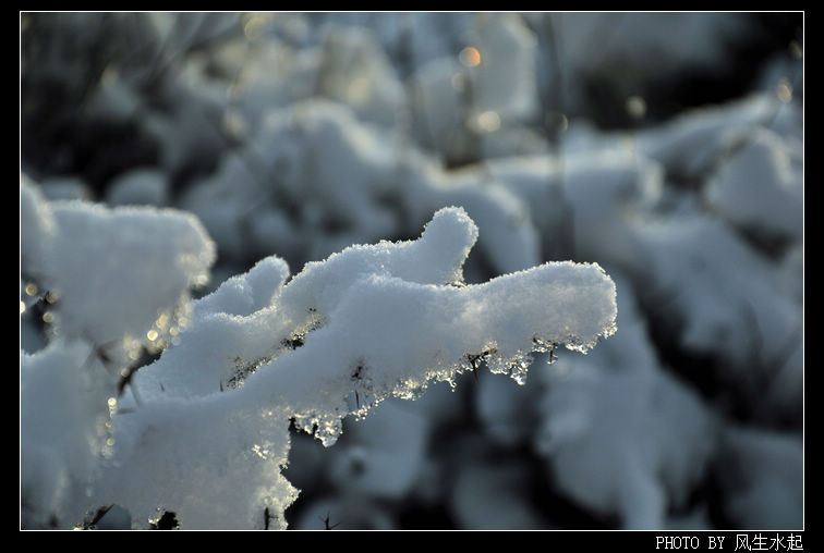 2011陕北雪