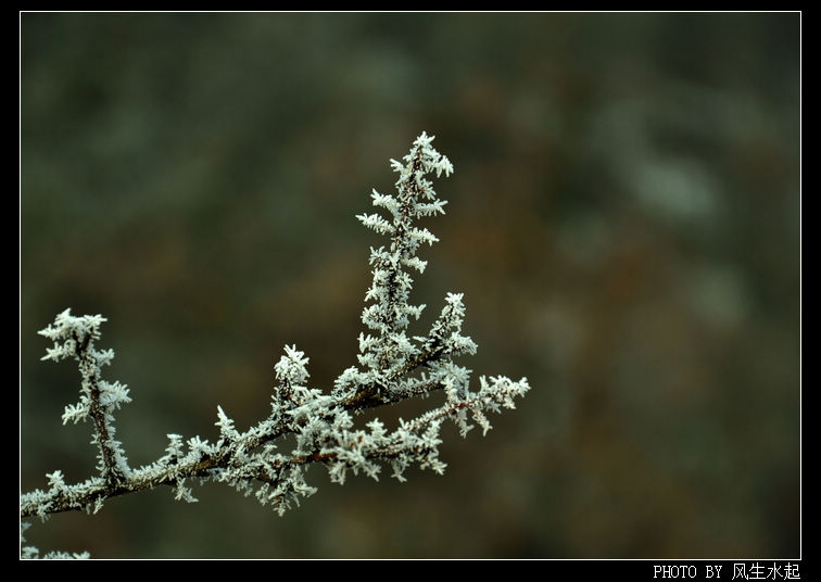 2011陕北雪