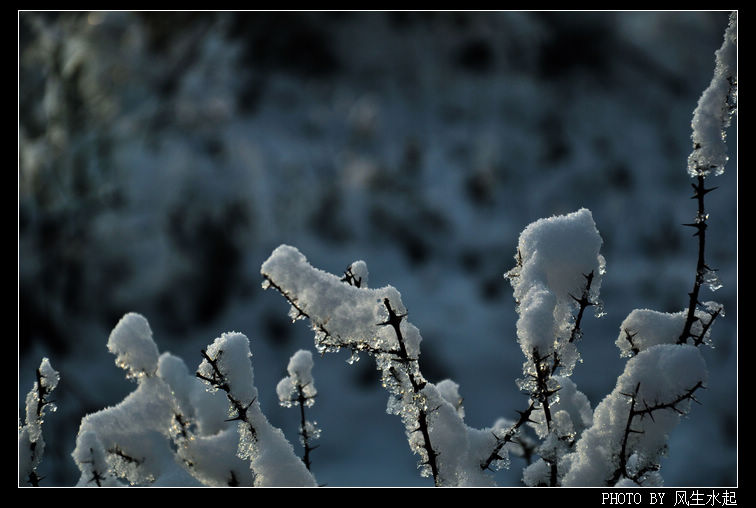2011陕北雪