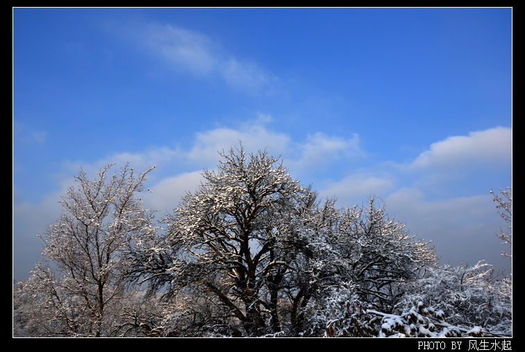 2011陕北雪