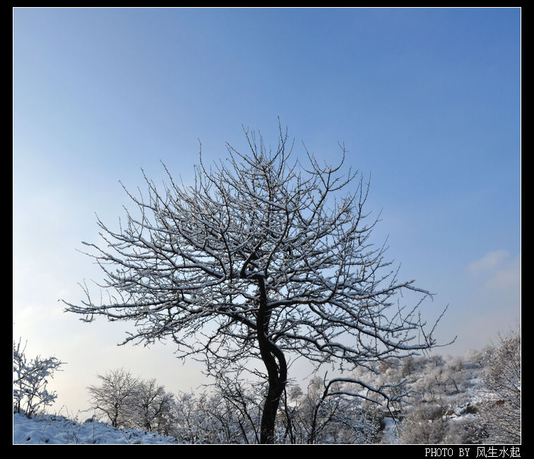 2011陕北雪