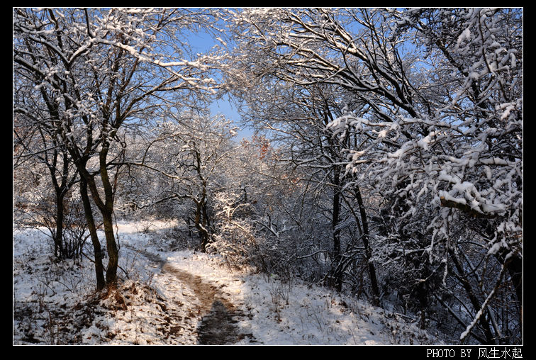 2011陕北雪