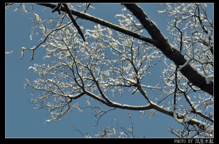 2011陕北雪
