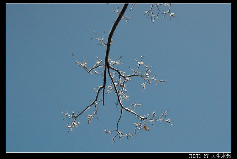 2011陕北雪