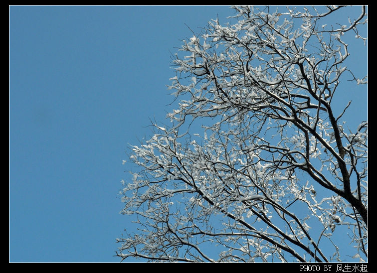 2011陕北雪
