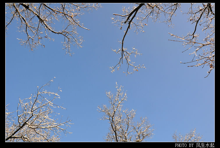 2011陕北雪