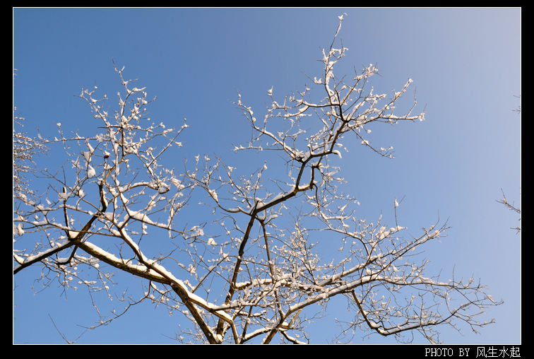 2011陕北雪