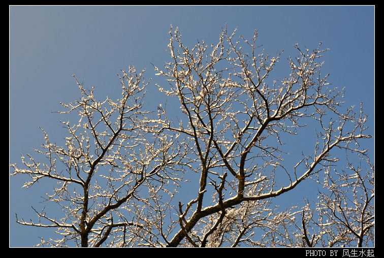 2011陕北雪