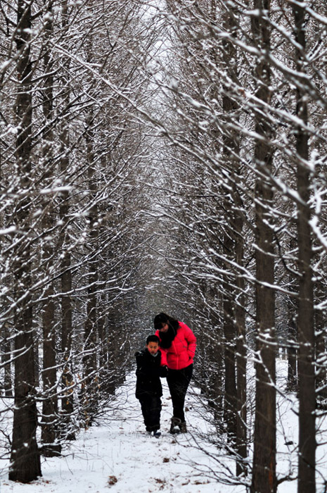 春雪杂韵