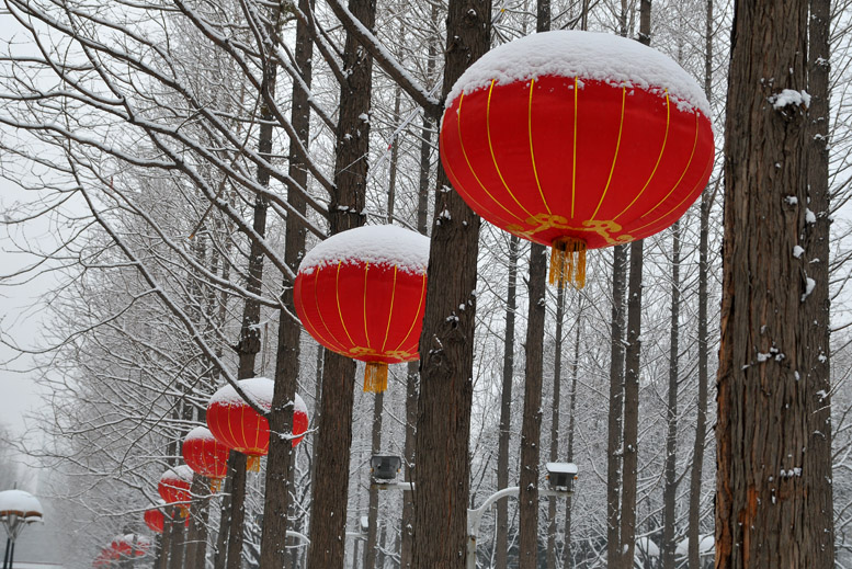 春雪杂韵