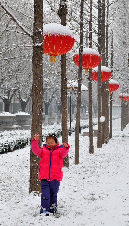 春雪杂韵
