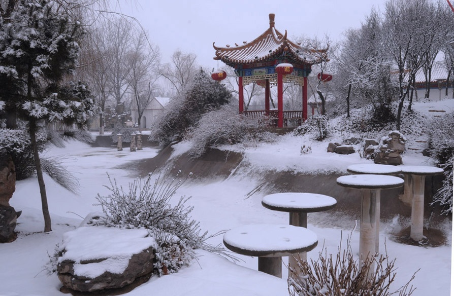 喜雪降中原，小景多别致