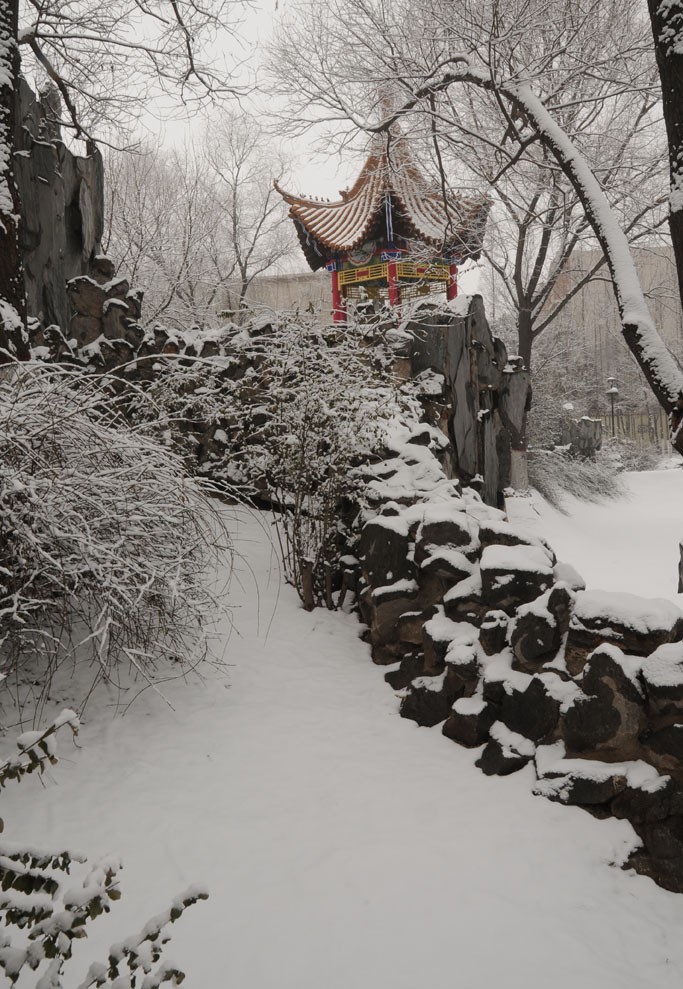喜雪降中原，小景多别致