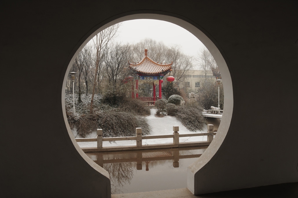 喜雪降中原，小景多别致
