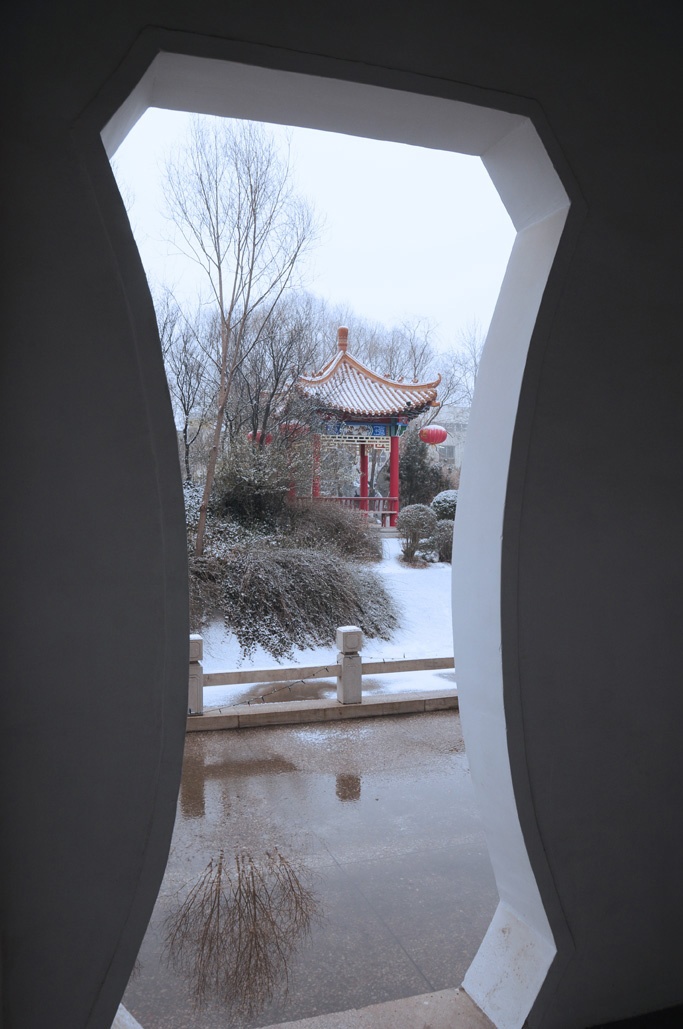 喜雪降中原，小景多别致