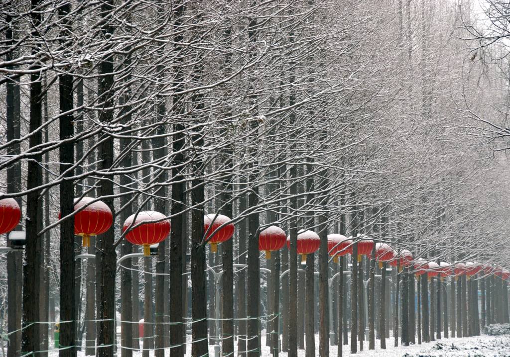 瑞雪兆丰年