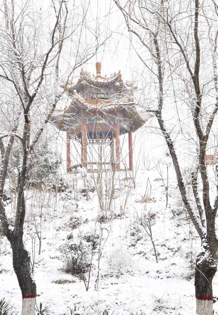 中原油田—皇家公园一景