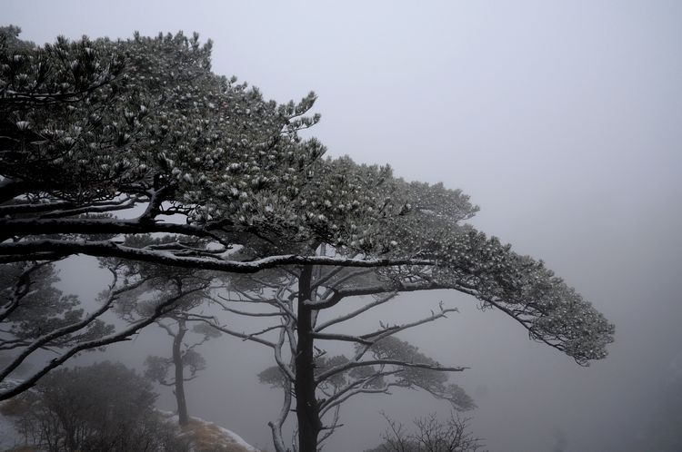 黄山雪景