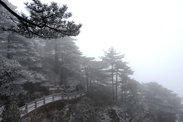 黄山雪景