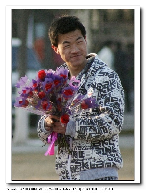 玫瑰，情人节