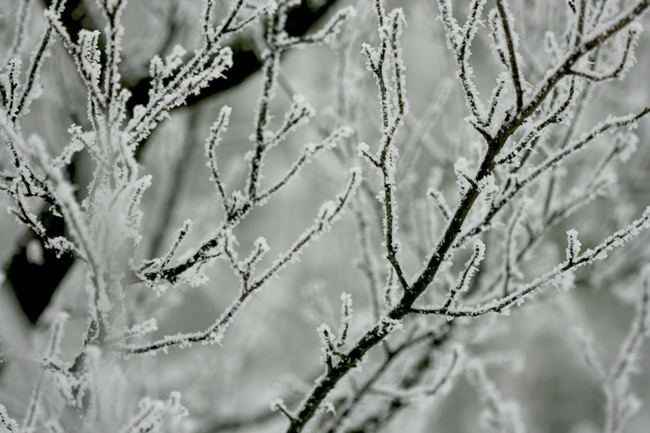 几张雪景小片