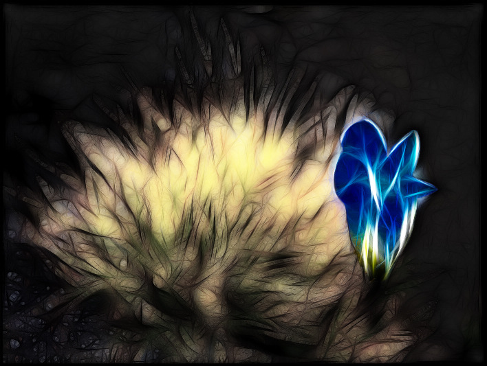 [原创]数码PS--梦幻之花