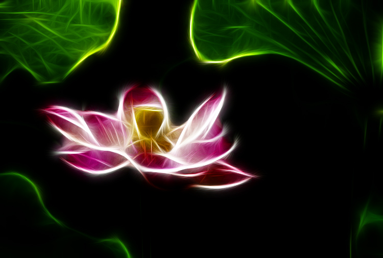 [原创]数码PS--梦幻之花