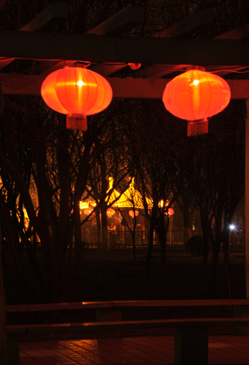 新年夜景