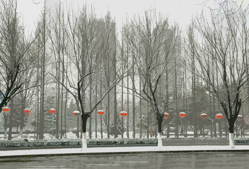 节前雪后