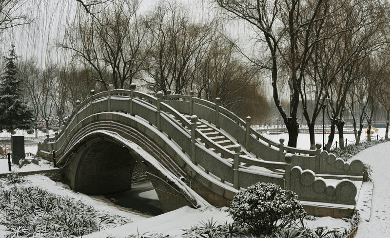节前雪后