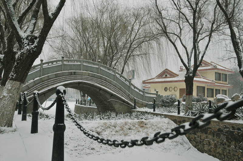 节前雪后