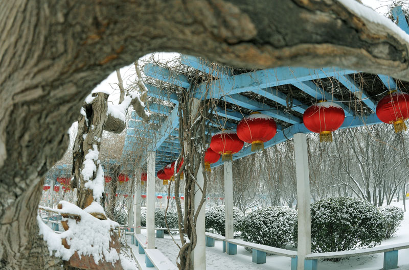 节前雪后