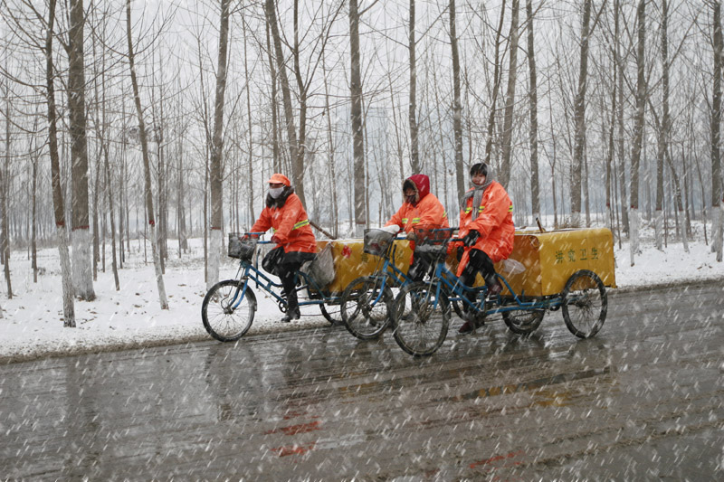 在雪中