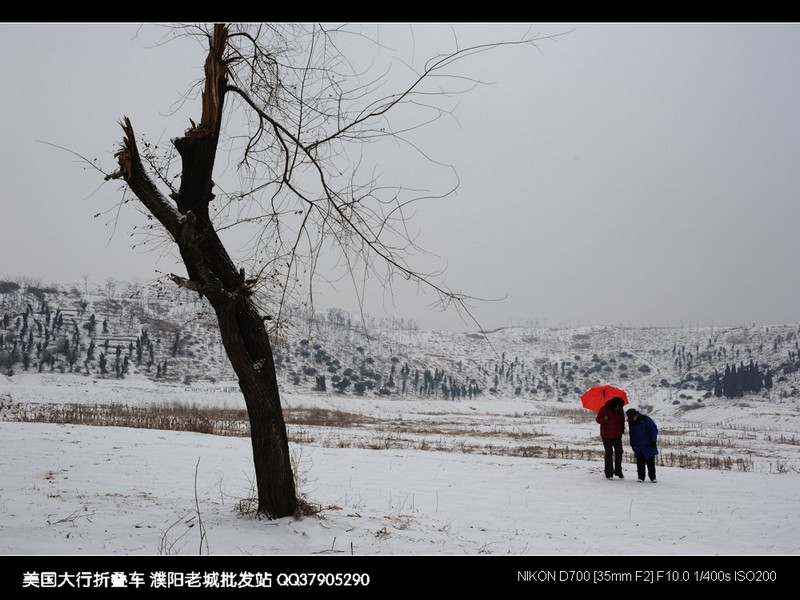 戚城公园和濮阳唯一的一座山