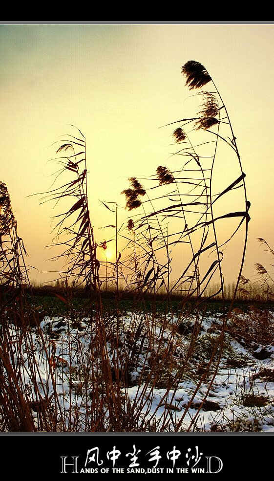 [原创]雪色寒塘