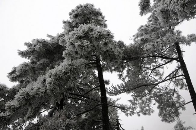 九华山雪景
