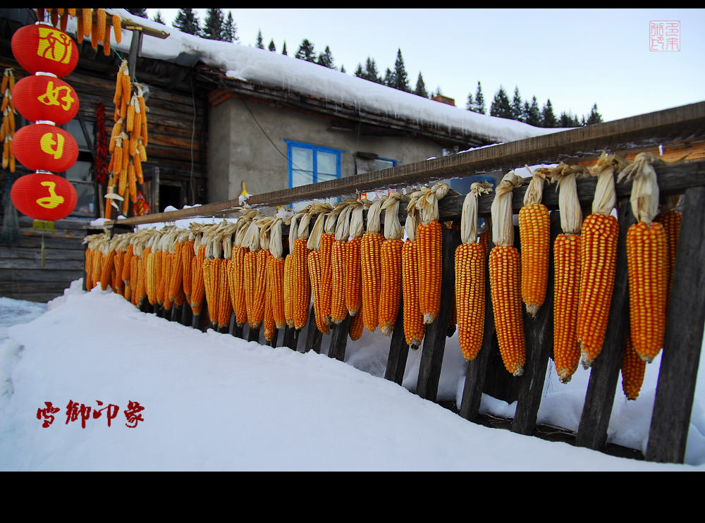 雪乡印象