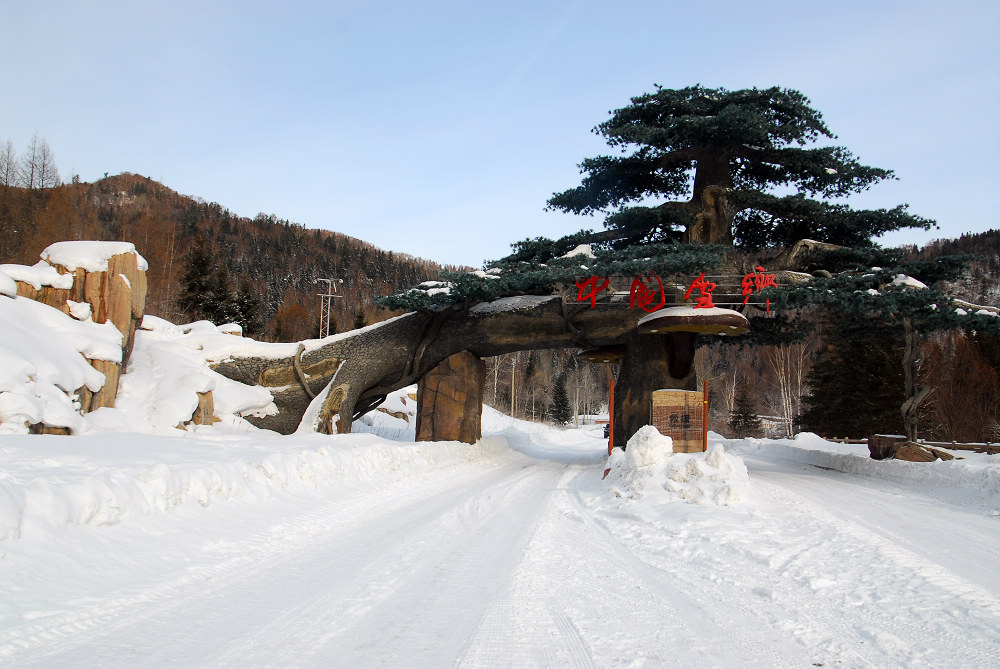 雪乡印象
