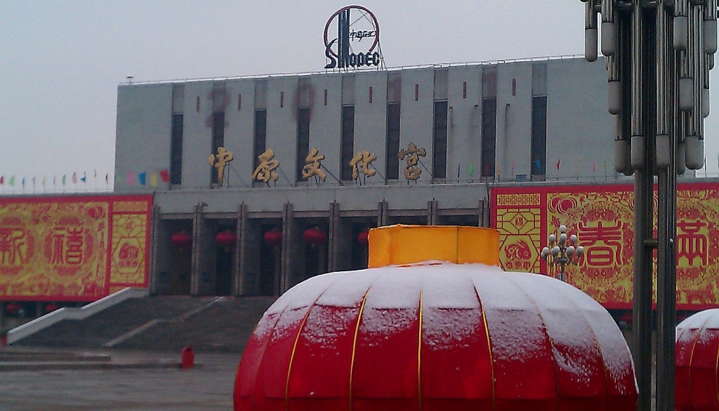 雪打灯（手机拍）