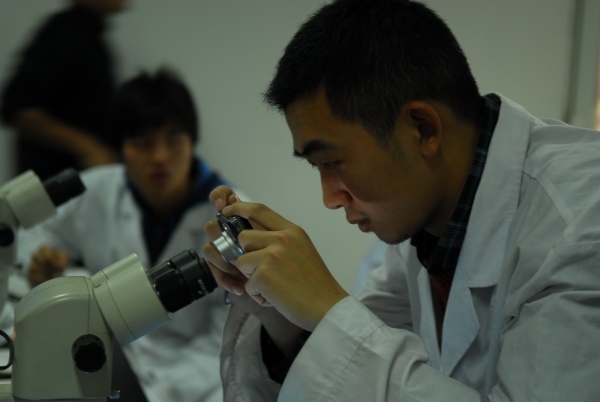 孩子拍的大学生活
