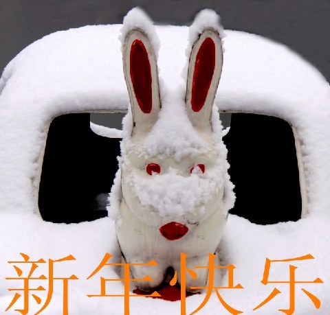 恭贺新春