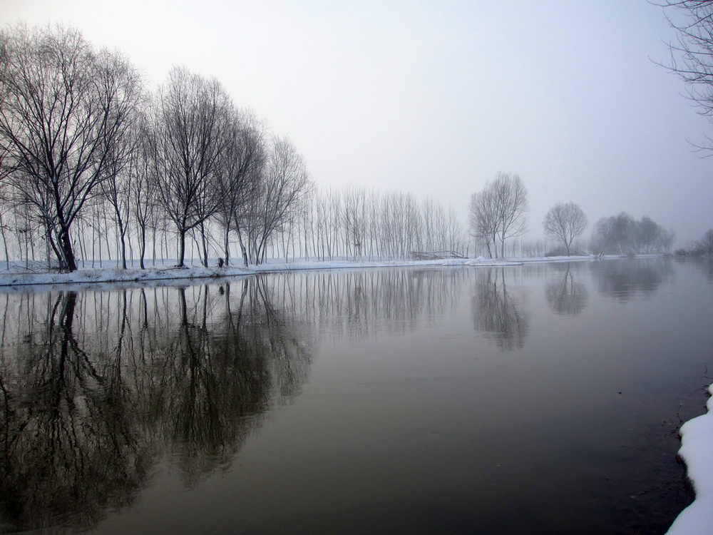 金提河风景