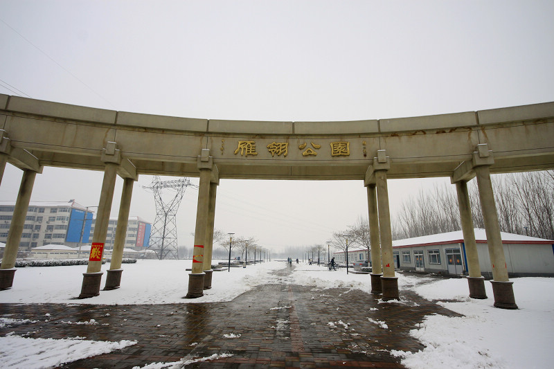 雪后油城随拍