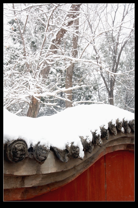 雪后